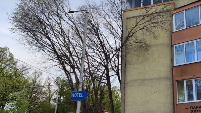 От Helpbook: Стари дървета рушат фасади на жилищни блокове