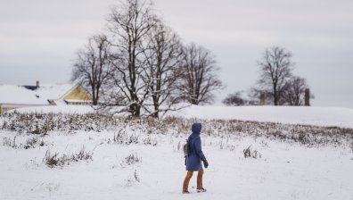 5 дни след обилния сняг - във Великотърновско и Русенско още оцеляват на студено