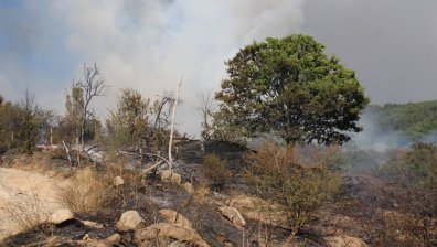 Пожарът в Сенокос: Огънят изпепели къщи, гори и евакуира стотици хора