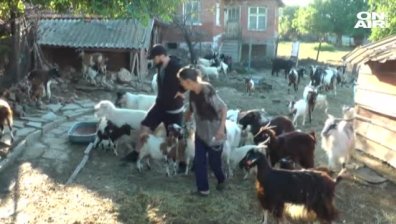 Министрите на вътрешните работи и на земеделието застават извънредно пред парламента