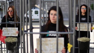 Протест в клетки пред парламента: Хора в защита на телетата (СНИМКИ)