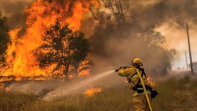 Пожарникар пострада при пожара на гръцкия остров Тасос