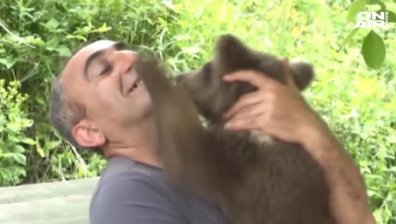 Семейство в Грузия осинови мече