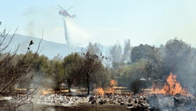 Пламнаха 35 пожара за 24 часа в Гърция