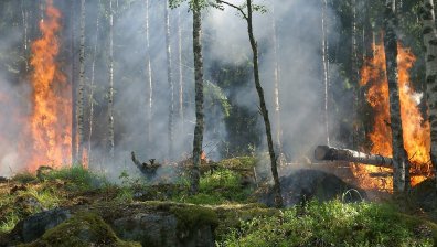 Остава в сила бедственото положение заради пожарите в Хасковско