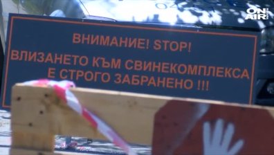 Военни и жандармерия ще помагат при загробването на прасета
