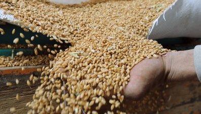 Ердоган обяви: Зърнената сделка се удължава с два месеца