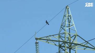 Каква е причината за шоковото поскъпване на тока за малкия бизнес?