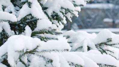 Студен и снежен вторник, на места със силен вятър