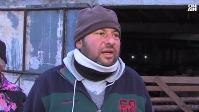 Животновъд от Велинград: €1500 за държавата и само 300 лв. за нас