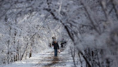 Зимата в България: Натрупва нов сняг, февруари ще бъде по-студен от януари (ВИДЕО)