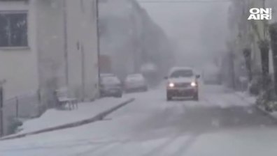 Студ скова и Европа
