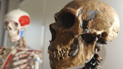 Неандерталци и хомо сапиенс: Откритие в България преобърна историята