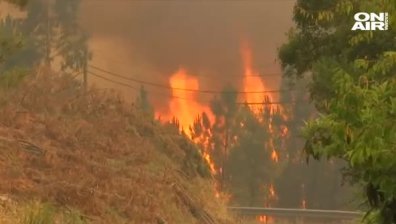 Невиждани горски пожари в Португалия заради жегите