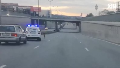 Полицаи с патрулка спасиха куче в София