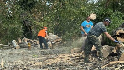 "Тотално безхаберие": Над 1000 дървета в парк "Врана" са изсъхнали и опасни