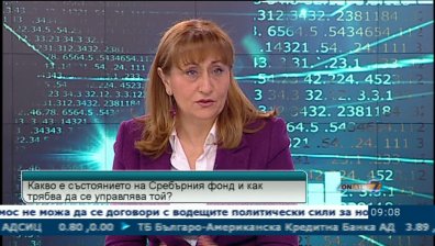 Сребърният фонд съществува формално, смята Лидия Шулева