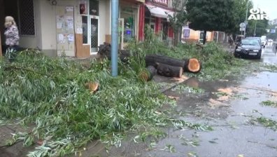 Съединение и Пловдив са под вода, дърво падна върху такси
