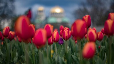 Астрономическата пролет дойде - денят нараства, скоро местим стрелките на часовника
