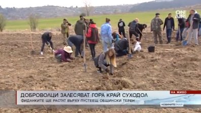 Доброволци садят нова гора край Суходол