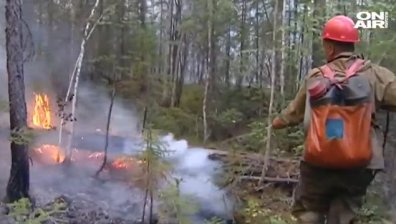 Пожар обхвана 3 милиона хектара гори в Русия