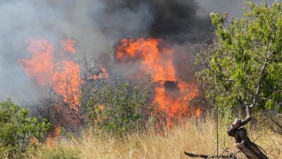 Няколко пожара изправиха на крак огнеборците в Бургаско