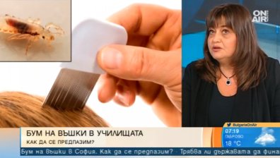 Бум на въшките и гнидите в столични учебни заведения