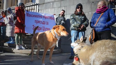 Протестиращи искат адекватни присъди за насилници над животни пред Съдебната палата