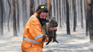 Комедиантка събра $40 млн. дарения за Австралия във Facebook (Обновена)