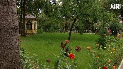 Напрежение след смъртта на Видинския митрополит Дометиан