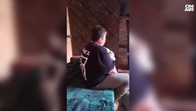 Казанлък е потресен: Бездомник измъчва и блудства с животни