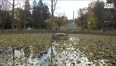 Изсичат 850 дървета в Борисовата градина