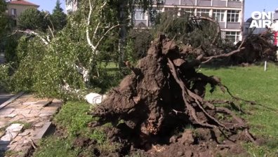 "Страшна стихия, вятърът беше с 90 км/ч": Хората в Харманли не са виждали такава буря