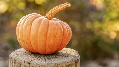 Яжте тиква за добро здраве през есента