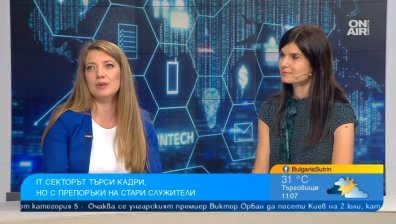IT секторът закъсва за кадри, малко от кандидатите са добри специалисти