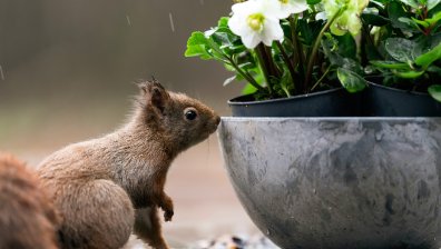 Времето днес: Облачно, ветровито и дъждовно