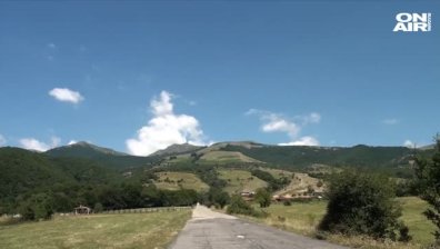 Диво прасе нападна турист в Стара планина