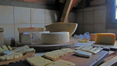 Сирене, кашкавал, пари... БАБХ отстрани от работа инспекторите рекетьори