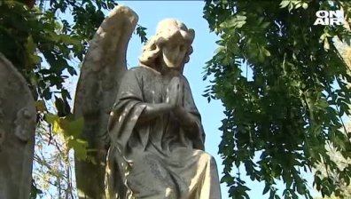 Жест на уважение: Ученици почистиха паметните плочи на народни будители