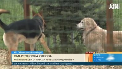 Отровени домашни любимци в столичния кв. "Манастирски ливади"