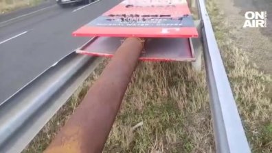 Страната "светна" в жълто и оранжево: Дърветата в Кърджали не издържаха на вятъра