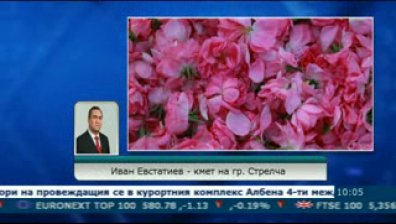 2.70 лева е изкупната цена на килограм розов цвят тази година