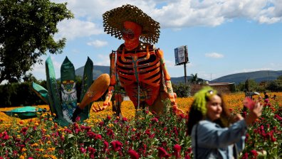 Мексико се подготвя за Деня на мъртвите с колоритни гигантски скелети (СНИМКИ)