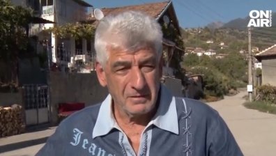 Нашествие на вълци в Югозападна България, нападат стада, хората се страхуват