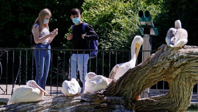 Германия разхлабва още мерките, в Сърбия - кръщенета и сватби от 15 май