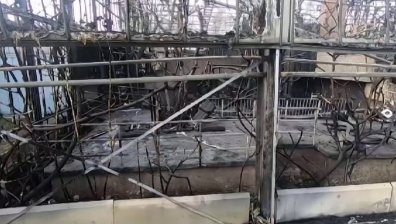 Три жени са заподозрени за смъртоносния пожар в зоопарка в Германия 