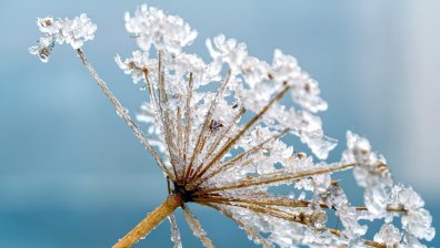Валежи ще има само в една част на България, температурите стигат 10&deg;