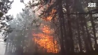"Луцифер" мори Европа: Червен код за опасни жеги в 10 страни