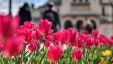 Априлска жега, живакът стига 30°, на места облаци скриват слънцето