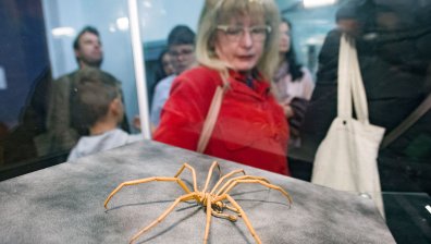 Уникални експонати от българската антарктическата експедиция